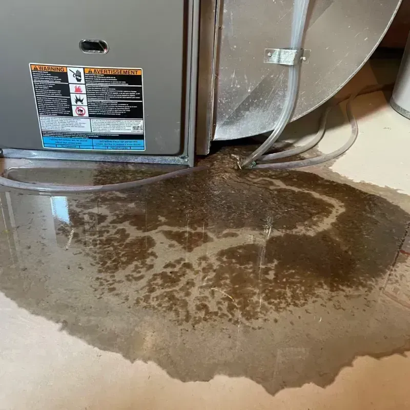 Appliance Leak Cleanup in Estill County, KY